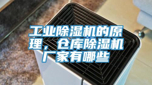 工業(yè)除濕機的原理，倉庫除濕機廠家有哪些