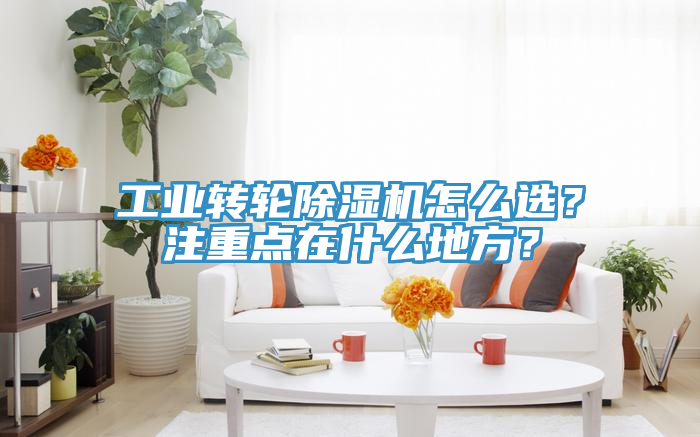 工業(yè)轉(zhuǎn)輪除濕機(jī)怎么選？注重點在什么地方？