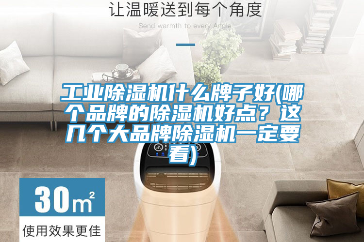 工業(yè)除濕機什么牌子好(哪個品牌的除濕機好點？這幾個大品牌除濕機一定要看)