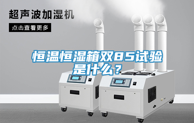 恒溫恒濕箱雙85試驗(yàn)是什么？