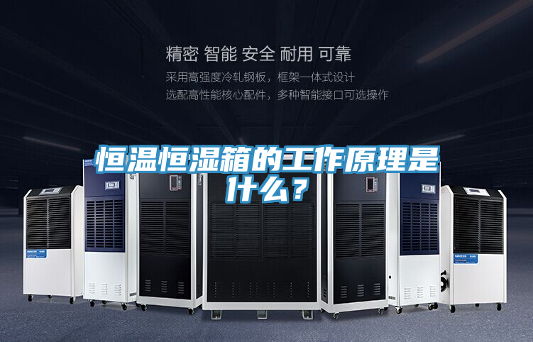 恒溫恒濕箱的工作原理是什么？