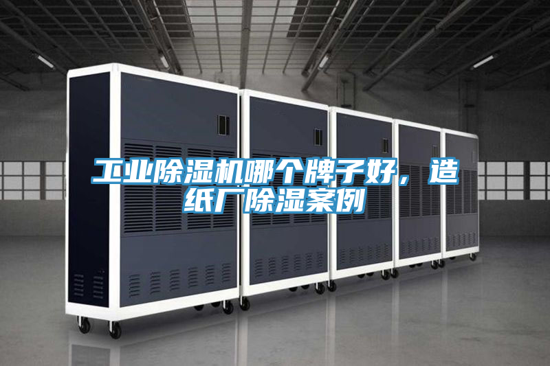 工業(yè)除濕機哪個牌子好，造紙廠除濕案例