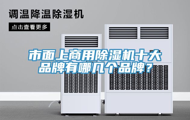 市面上商用除濕機(jī)十大品牌有哪幾個(gè)品牌？