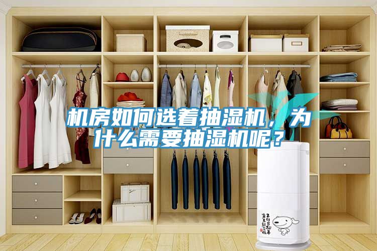 機(jī)房如何選著抽濕機(jī)，為什么需要抽濕機(jī)呢？
