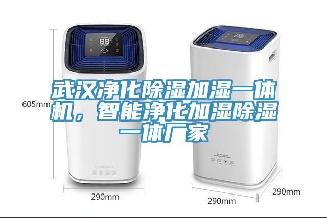 武漢凈化除濕加濕一體機(jī)，智能凈化加濕除濕一體廠家