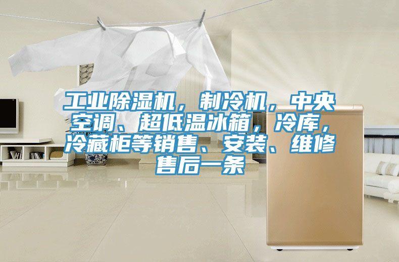 工業(yè)除濕機(jī)，制冷機(jī)，中央空調(diào)、超低溫冰箱，冷庫，冷藏柜等銷售、安裝、維修售后一條