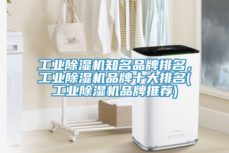 工業(yè)除濕機(jī)知名品牌排名，工業(yè)除濕機(jī)品牌十大排名(工業(yè)除濕機(jī)品牌推薦)