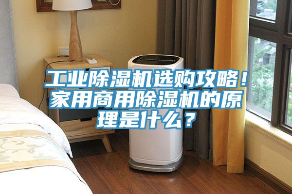 工業(yè)除濕機選購攻略！家用商用除濕機的原理是什么？