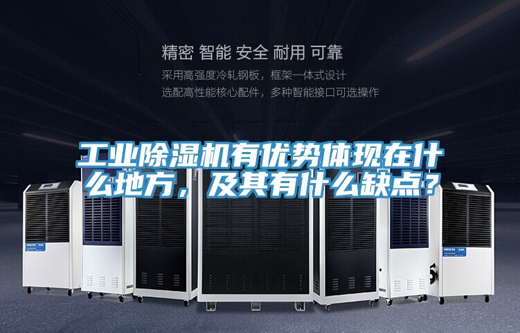 工業(yè)除濕機(jī)有優(yōu)勢(shì)體現(xiàn)在什么地方，及其有什么缺點(diǎn)？