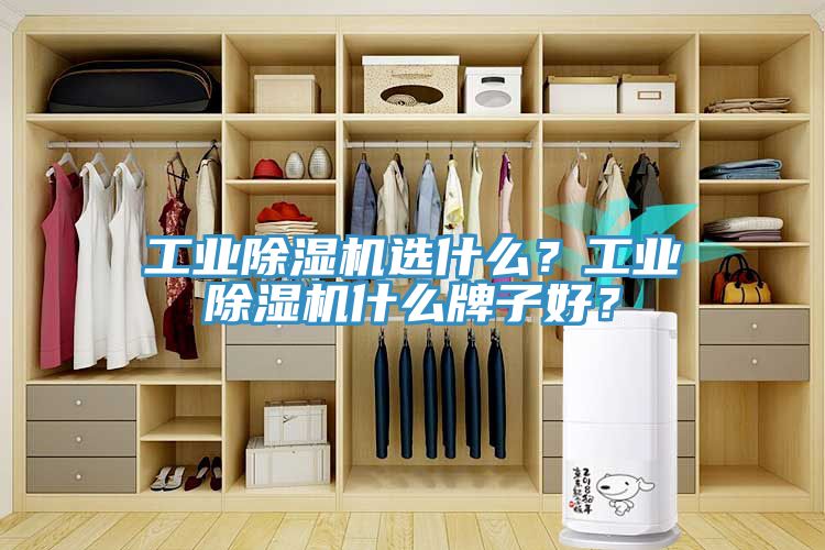 工業(yè)除濕機(jī)選什么？工業(yè)除濕機(jī)什么牌子好？