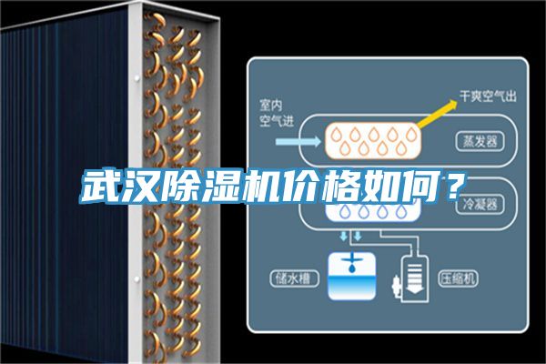 武漢除濕機(jī)價(jià)格如何？