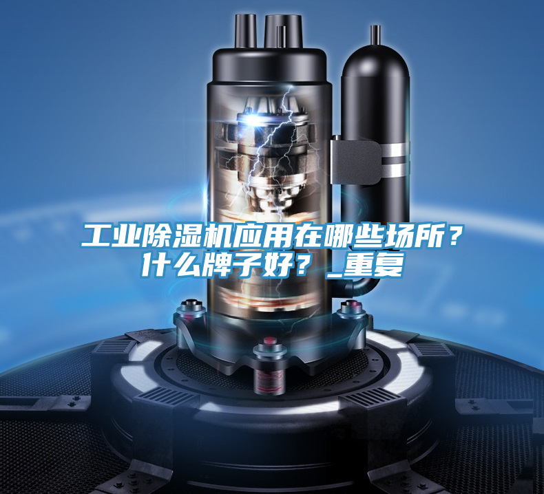 工業(yè)除濕機(jī)應(yīng)用在哪些場所？什么牌子好？_重復(fù)