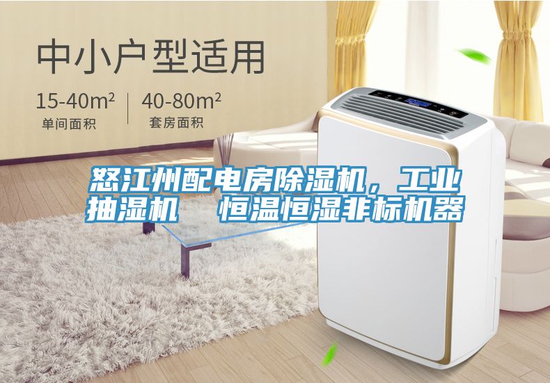 怒江州配電房除濕機(jī)，工業(yè)抽濕機(jī)  恒溫恒濕非標(biāo)機(jī)器