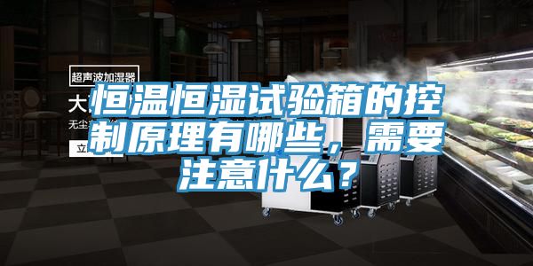 恒溫恒濕試驗(yàn)箱的控制原理有哪些，需要注意什么？