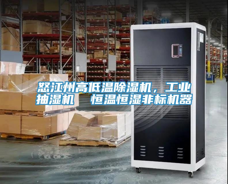 怒江州高低溫除濕機(jī)，工業(yè)抽濕機(jī)  恒溫恒濕非標(biāo)機(jī)器