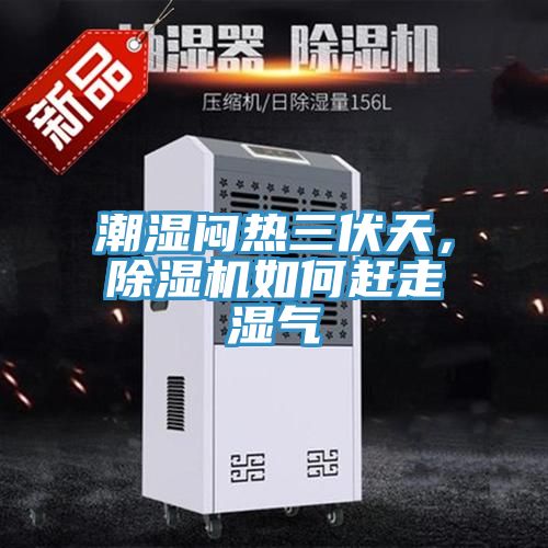 潮濕悶熱三伏天，除濕機如何趕走濕氣