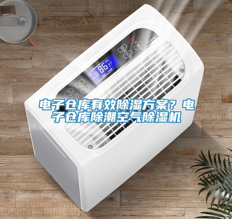 電子倉(cāng)庫(kù)有效除濕方案？電子倉(cāng)庫(kù)除潮空氣除濕機(jī)