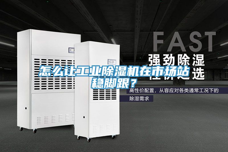 怎么讓工業(yè)除濕機在市場站穩(wěn)腳跟？