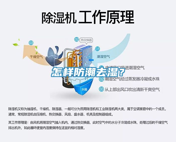 怎樣防潮去濕？