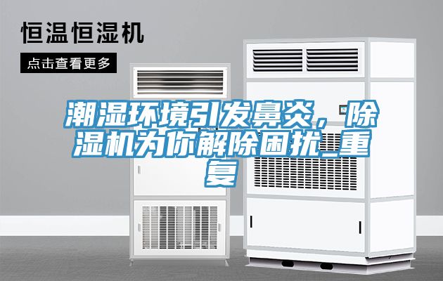 潮濕環(huán)境引發(fā)鼻炎，除濕機為你解除困擾_重復
