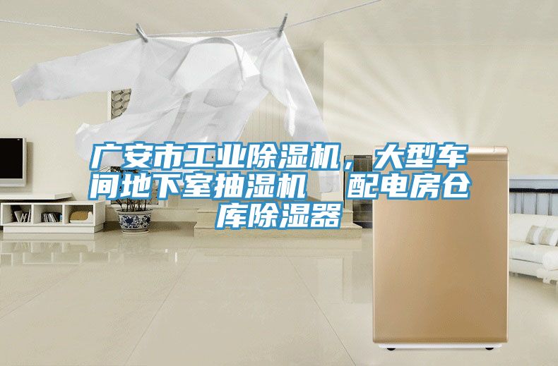 廣安市工業(yè)除濕機，大型車間地下室抽濕機  配電房倉庫除濕器