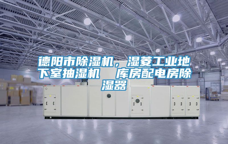德陽(yáng)市除濕機(jī)，濕菱工業(yè)地下室抽濕機(jī)  庫(kù)房配電房除濕器