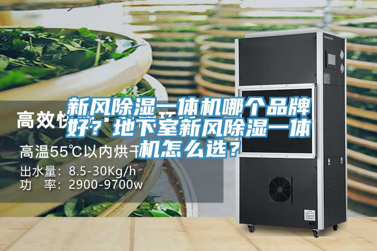 新風(fēng)除濕一體機(jī)哪個(gè)品牌好？地下室新風(fēng)除濕一體機(jī)怎么選？