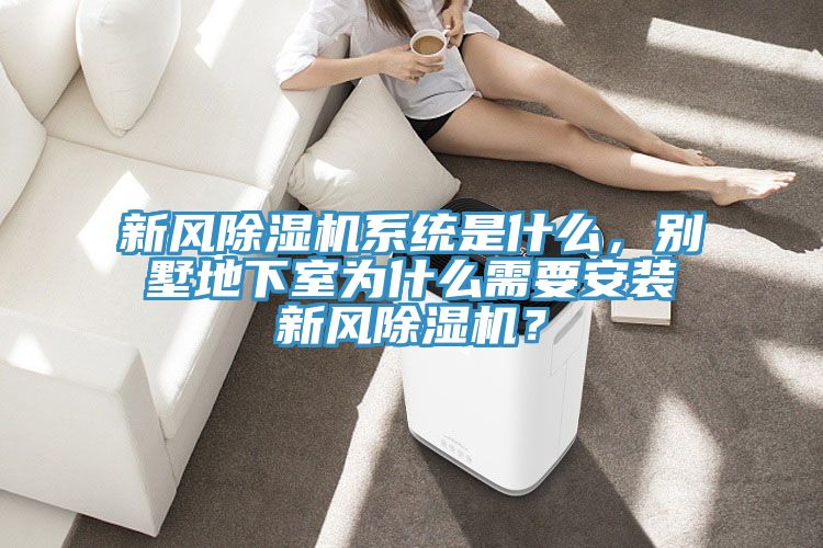 新風(fēng)除濕機(jī)系統(tǒng)是什么，別墅地下室為什么需要安裝新風(fēng)除濕機(jī)？