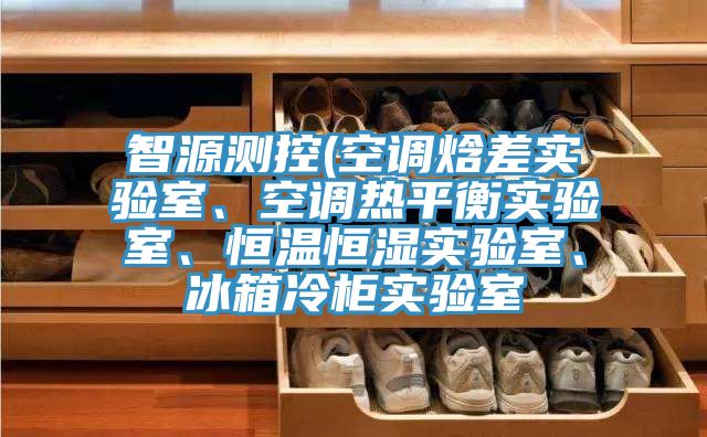 智源測(cè)控(空調(diào)焓差實(shí)驗(yàn)室、空調(diào)熱平衡實(shí)驗(yàn)室、恒溫恒濕實(shí)驗(yàn)室、冰箱冷柜實(shí)驗(yàn)室