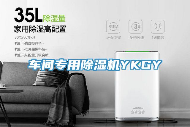 車(chē)間專(zhuān)用除濕機(jī)YKGY