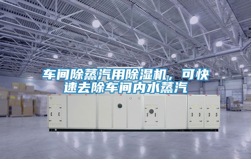 車間除蒸汽用除濕機(jī)，可快速去除車間內(nèi)水蒸汽