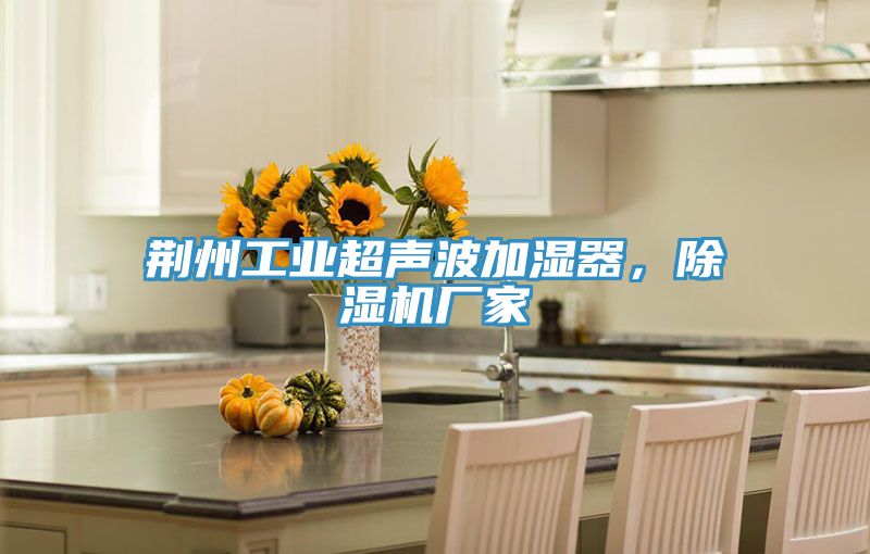 荊州工業(yè)超聲波加濕器，除濕機廠家