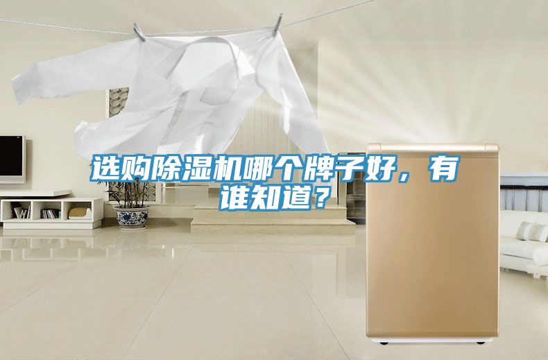 選購除濕機哪個牌子好，有誰知道？