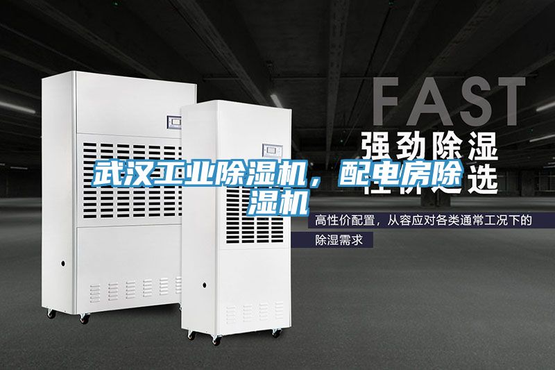 武漢工業(yè)除濕機，配電房除濕機