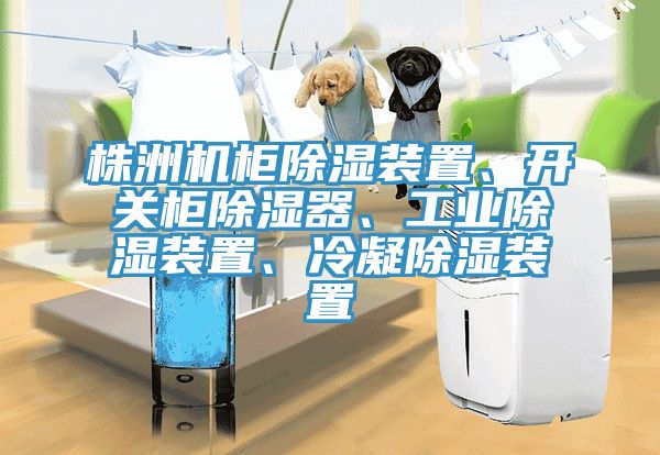 株洲機(jī)柜除濕裝置、開關(guān)柜除濕器、工業(yè)除濕裝置、冷凝除濕裝置