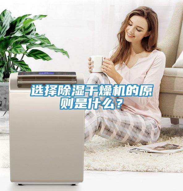 選擇除濕干燥機的原則是什么？