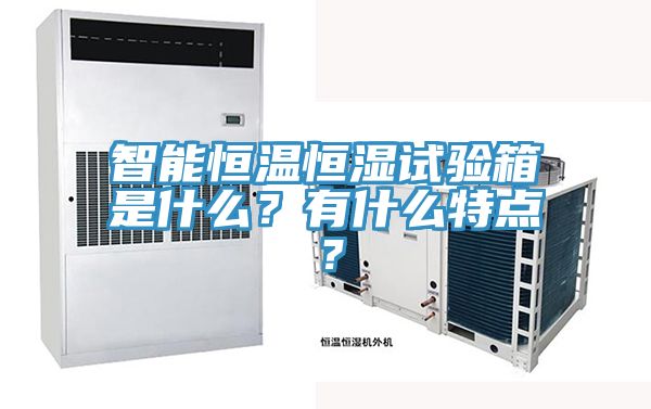 智能恒溫恒濕試驗(yàn)箱是什么？有什么特點(diǎn)？