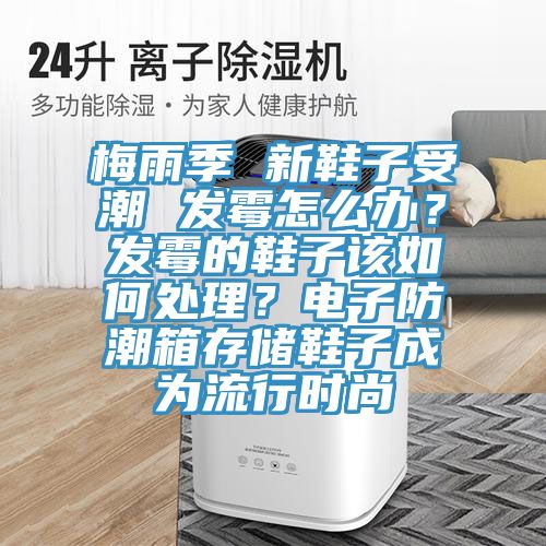 梅雨季 新鞋子受潮 發(fā)霉怎么辦？發(fā)霉的鞋子該如何處理？電子防潮箱存儲(chǔ)鞋子成為流行時(shí)尚