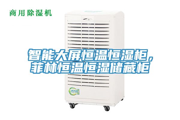 智能大屏恒溫恒濕柜，菲林恒溫恒濕儲(chǔ)藏柜