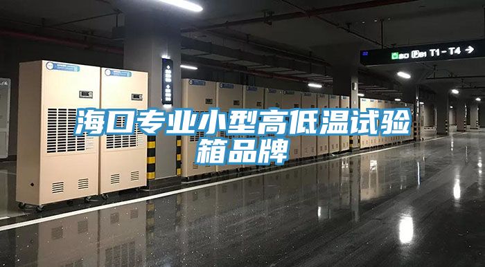 ?？趯?zhuān)業(yè)小型高低溫試驗(yàn)箱品牌
