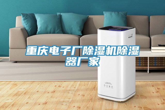 重慶電子廠(chǎng)除濕機(jī)除濕器廠(chǎng)家