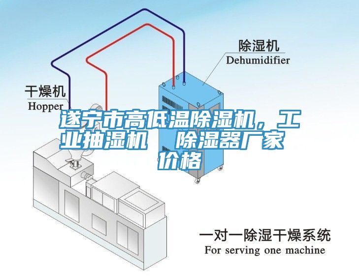 遂寧市高低溫除濕機，工業(yè)抽濕機  除濕器廠家 價格