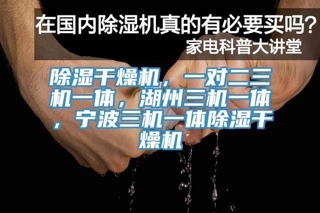 除濕干燥機(jī)，一對(duì)二三機(jī)一體，湖州三機(jī)一體，寧波三機(jī)一體除濕干燥機(jī)