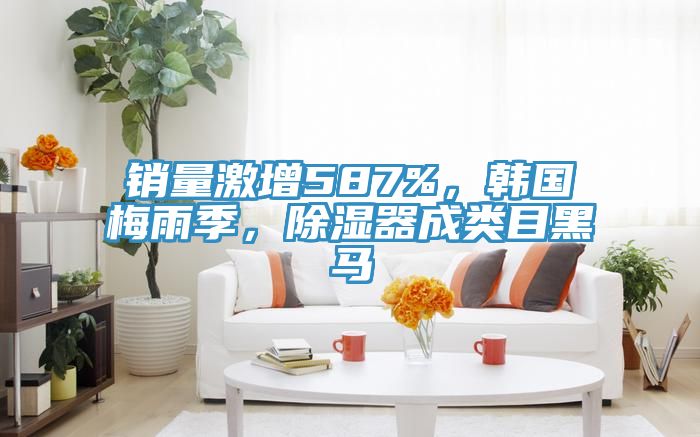 銷量激增587%，韓國梅雨季，除濕器成類目黑馬