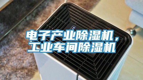 電子產(chǎn)業(yè)除濕機(jī)，工業(yè)車間除濕機(jī)
