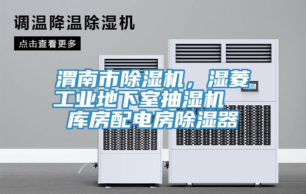 渭南市除濕機(jī)，濕菱工業(yè)地下室抽濕機(jī)  庫房配電房除濕器