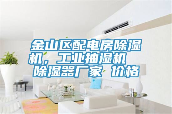 金山區(qū)配電房除濕機(jī)，工業(yè)抽濕機(jī)  除濕器廠家 價格
