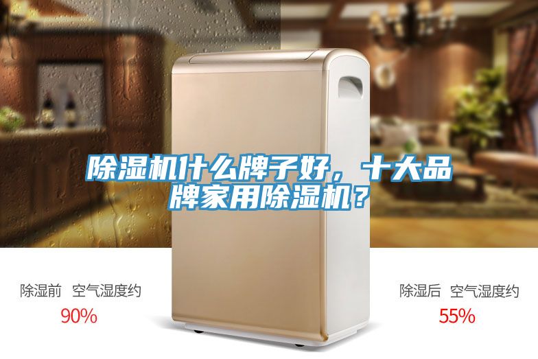 除濕機(jī)什么牌子好，十大品牌家用除濕機(jī)？