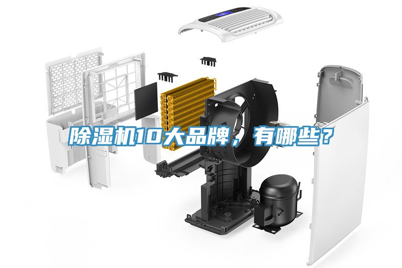 除濕機10大品牌，有哪些？