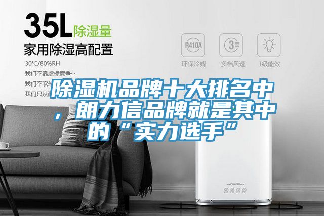 除濕機品牌十大排名中，朗力信品牌就是其中的“實力選手”